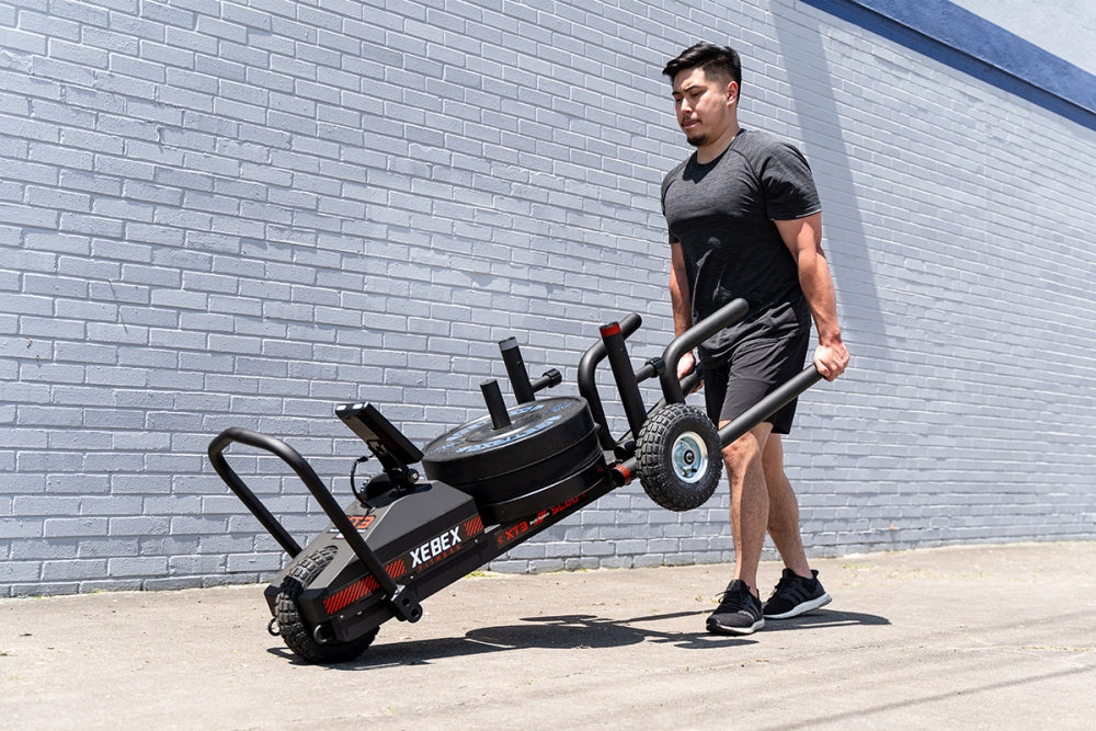 Xebex XT3 Sled | Industrial Athletic

